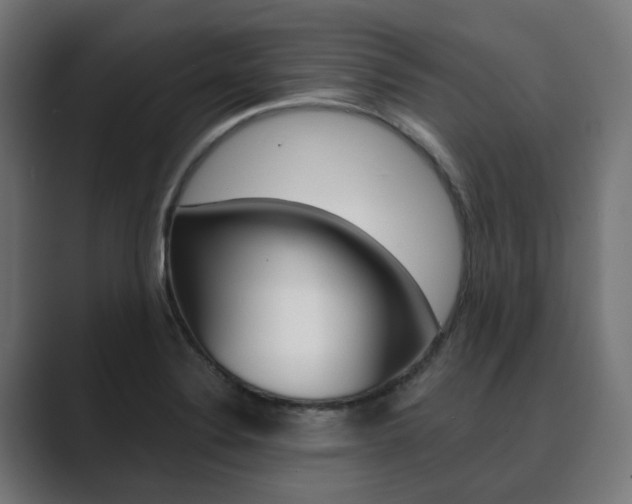X0000089971324200706291057