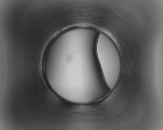 X0000089971327200706291057