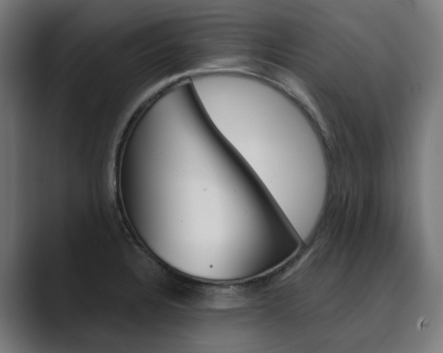 X0000089971328200706291057