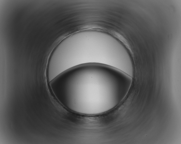 X0000089971330200706291057