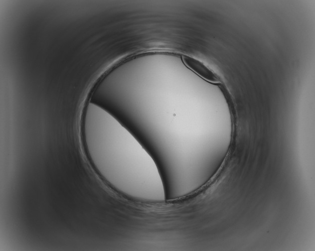 X0000089971333200706291057