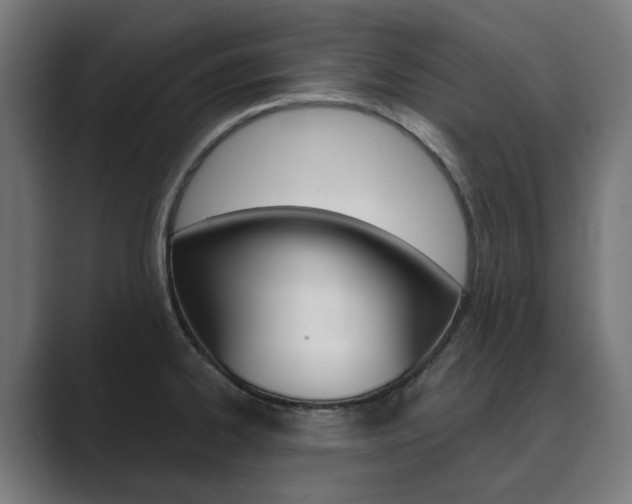 X0000089971334200706291057
