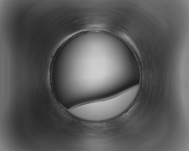 X0000089971336200706291057