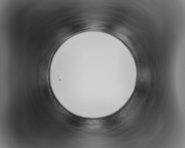 X0000089971338200706291057