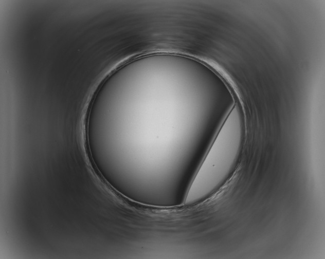 X0000089971341200706291057