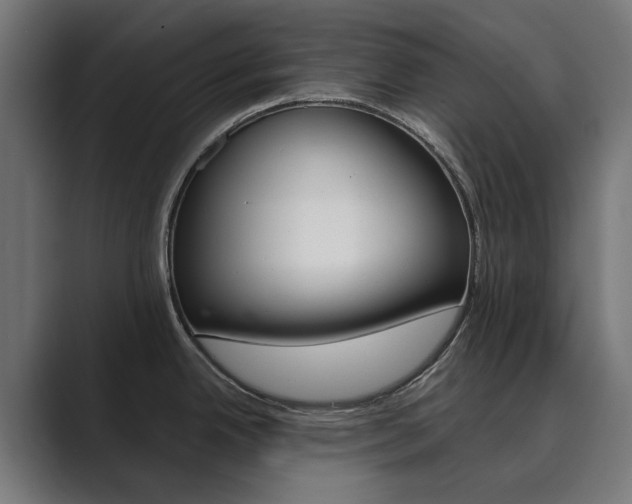 X0000089971342200706291057