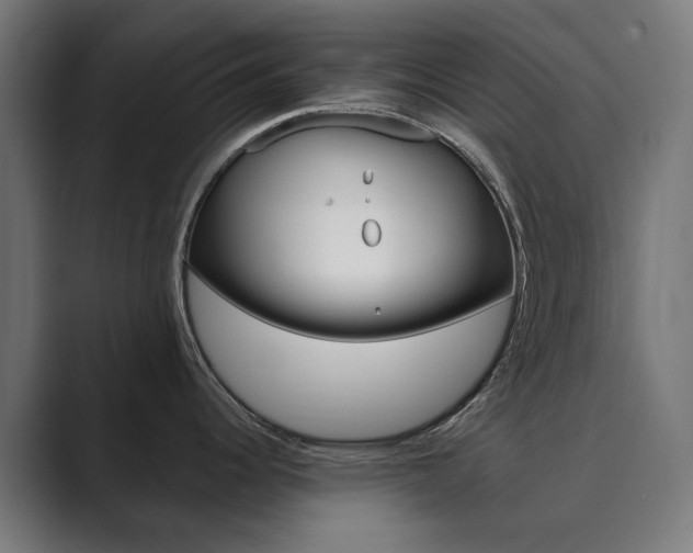 X0000089971344200706291057