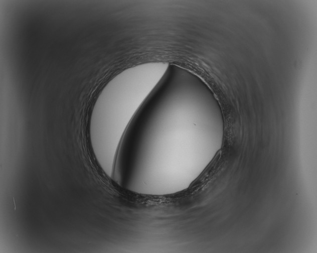 X0000089971345200706291057