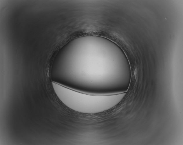 X0000089971348200706291057