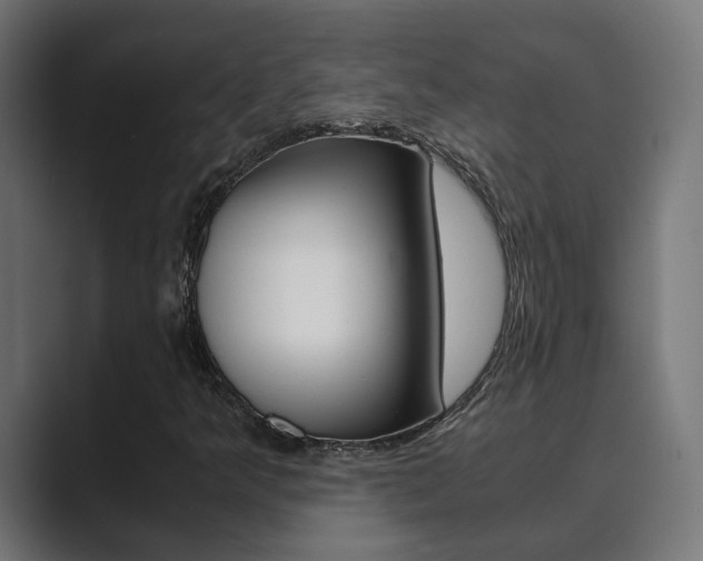 X0000089971349200706291057