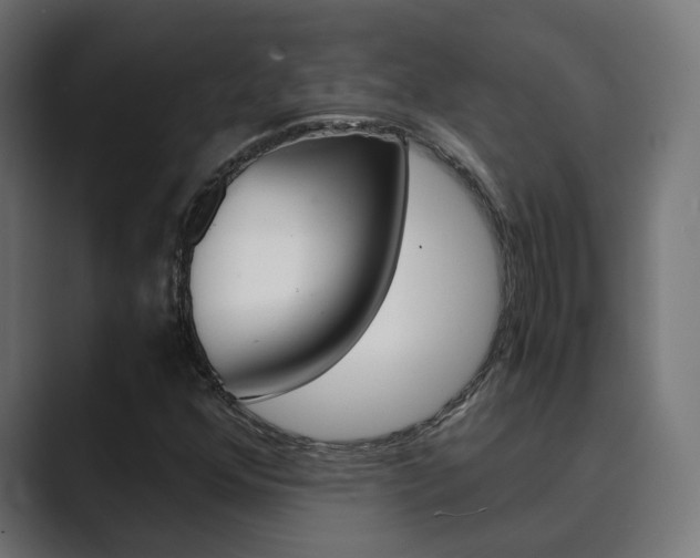 X0000089971352200706291057
