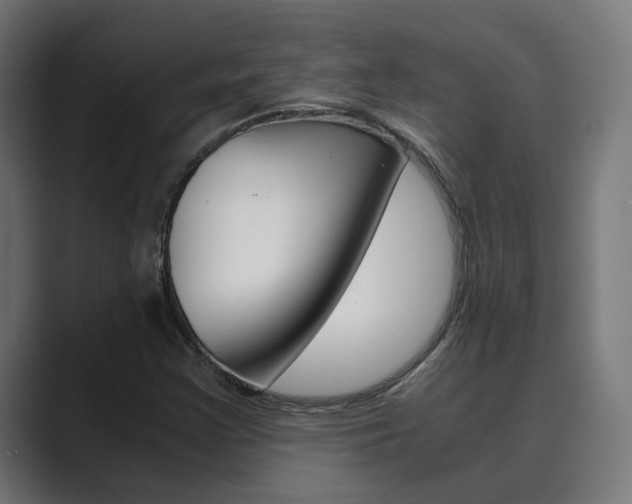 X0000089971355200706291057
