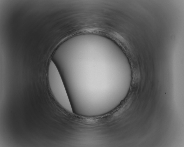 X0000089971361200706291057