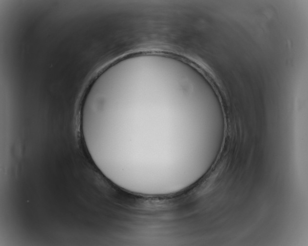 X0000089971366200706291057