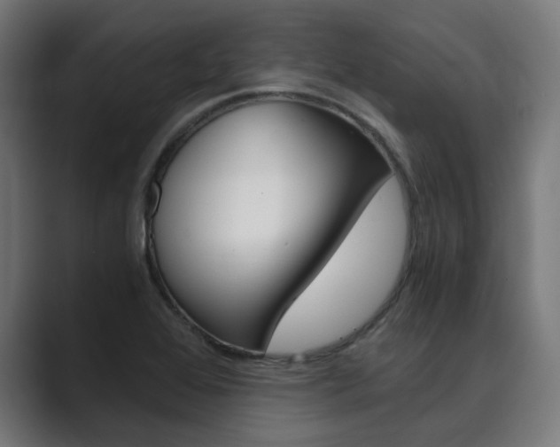 X0000089971368200706291057