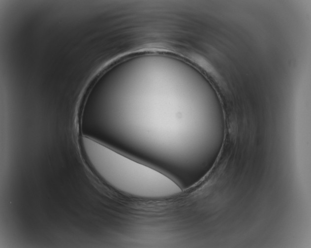 X0000089971372200706291057