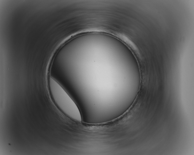 X0000089971380200706291056