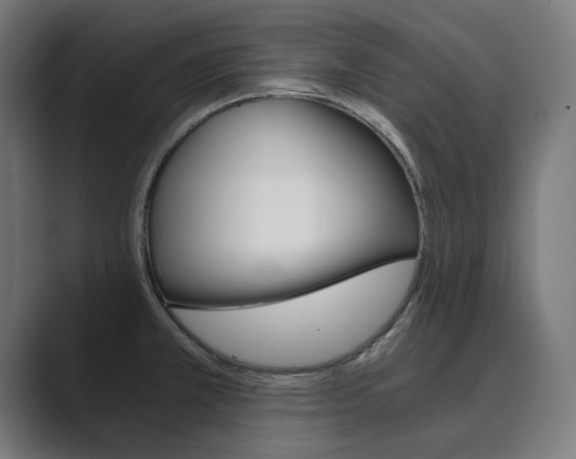 X0000089971381200706291056