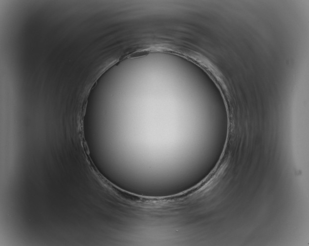 X0000089971385200706291056