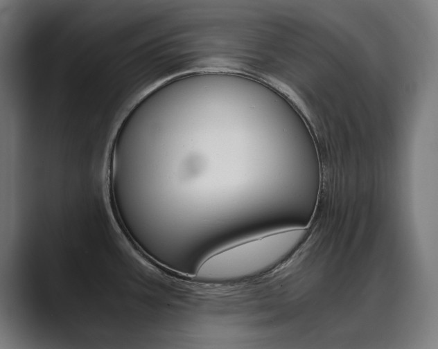 X0000089971387200706291056