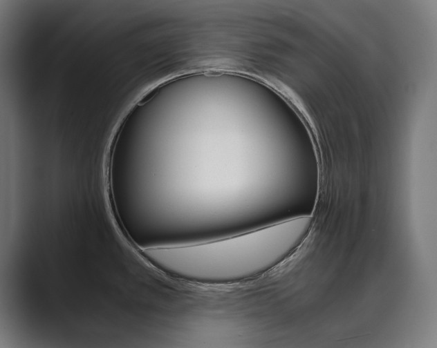X0000089971389200706291056