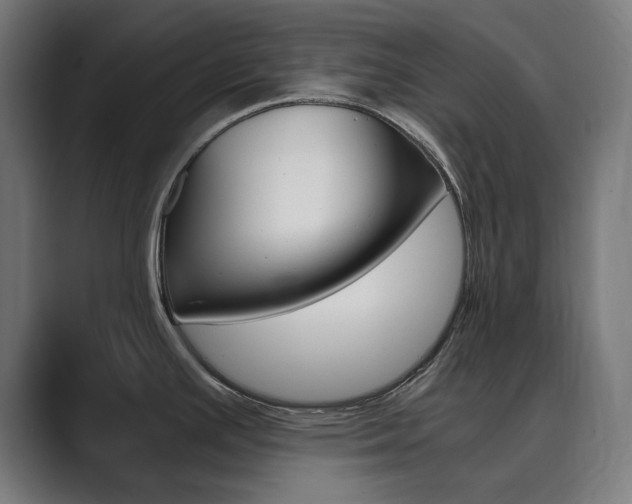 X0000089971391200706291056