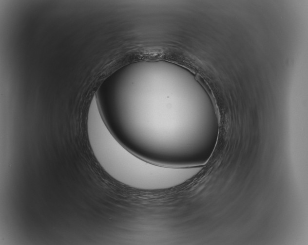 X0000089971394200706291056