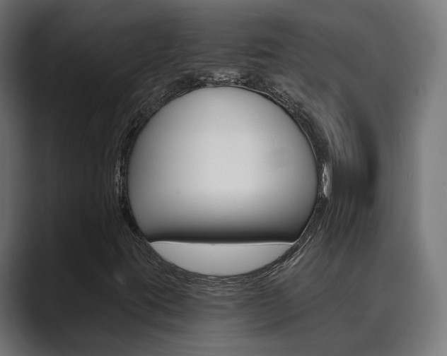 X0000089971395200706291056