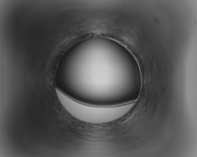 X0000089971398200706291056