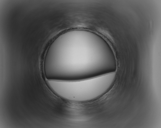 X0000089971404200706291056