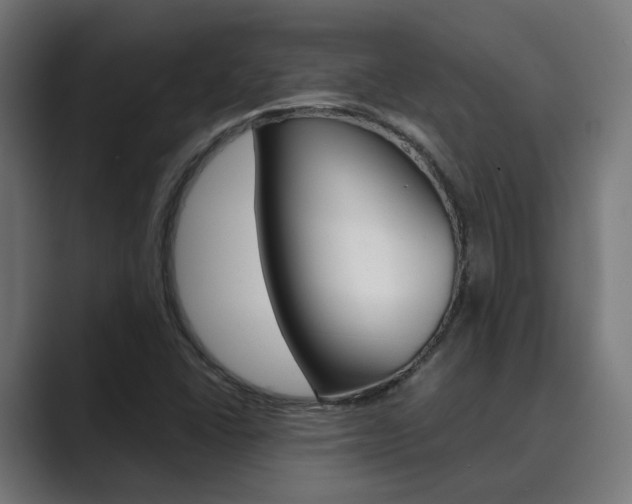 X0000089971406200706291056
