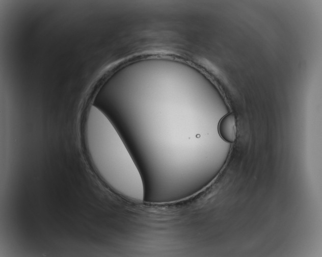 X0000089971408200706291056