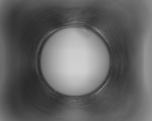 X0000089971410200706291056