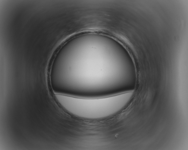 X0000089971412200706291056