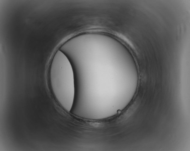 X0000089971413200706291056
