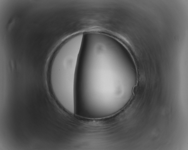 X0000089971414200706291056