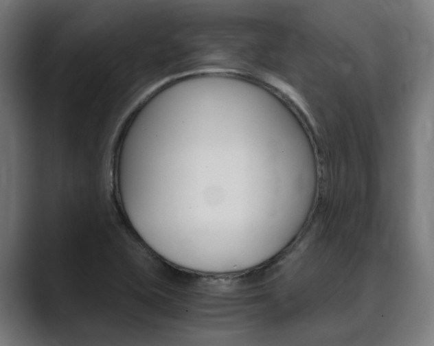 X0000089971415200706291056