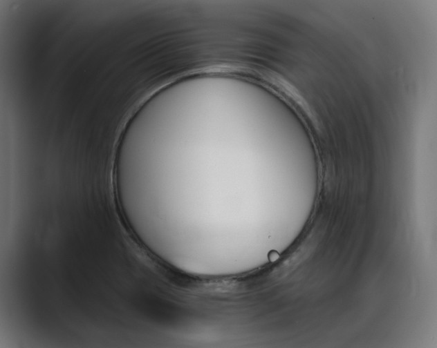 X0000089971417200706291056