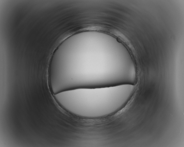 X0000089971425200706291056