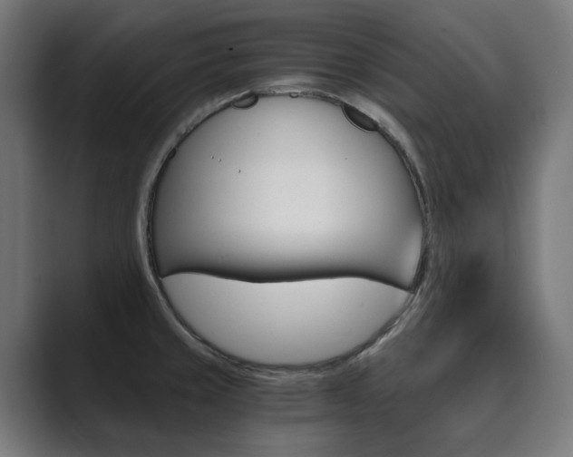 X0000089971429200706291056