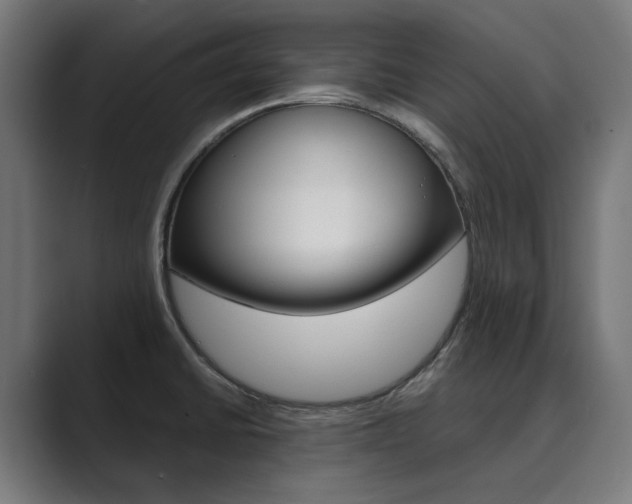 X0000089971430200706291056