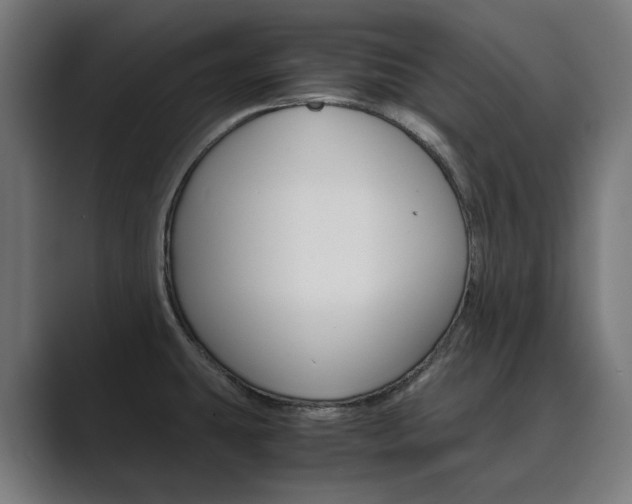 X0000089971431200706291056
