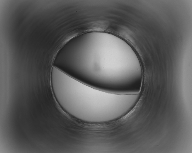 X0000089971433200706291056