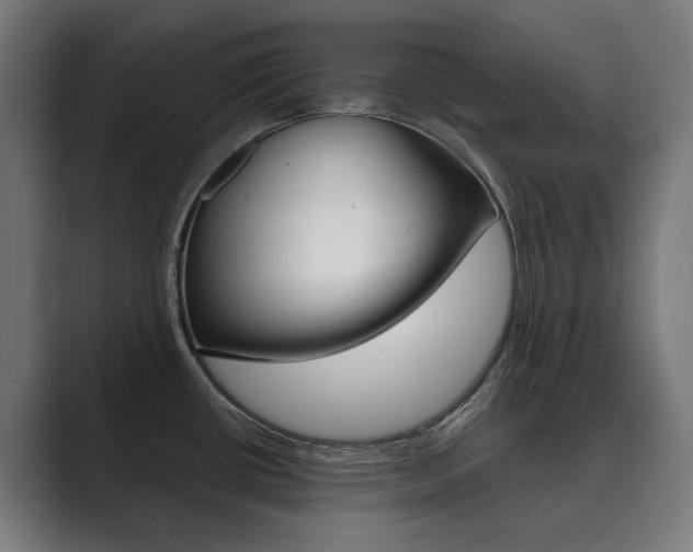 X0000089971434200706291056