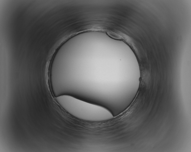 X0000089971435200706291056