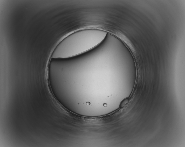 X0000089971436200706291056