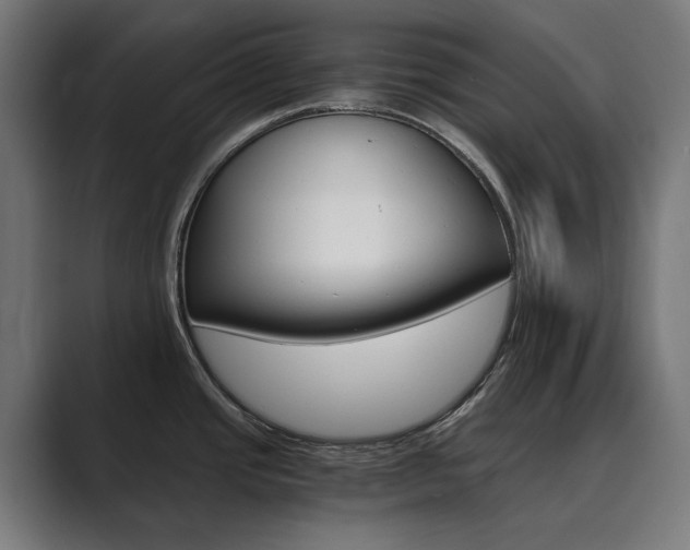 X0000089971437200706291056