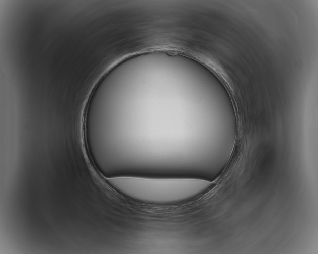 X0000089971439200706291056