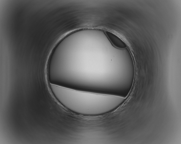 X0000089971440200706291056