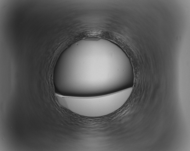 X0000089971441200706291056